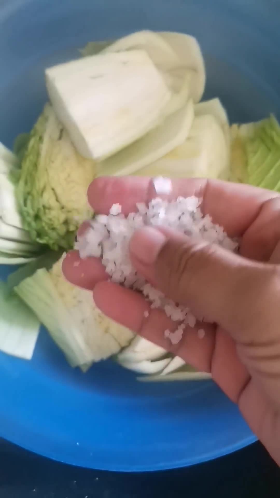 Gambar langkah 1 resipi Kimchi Mudah.