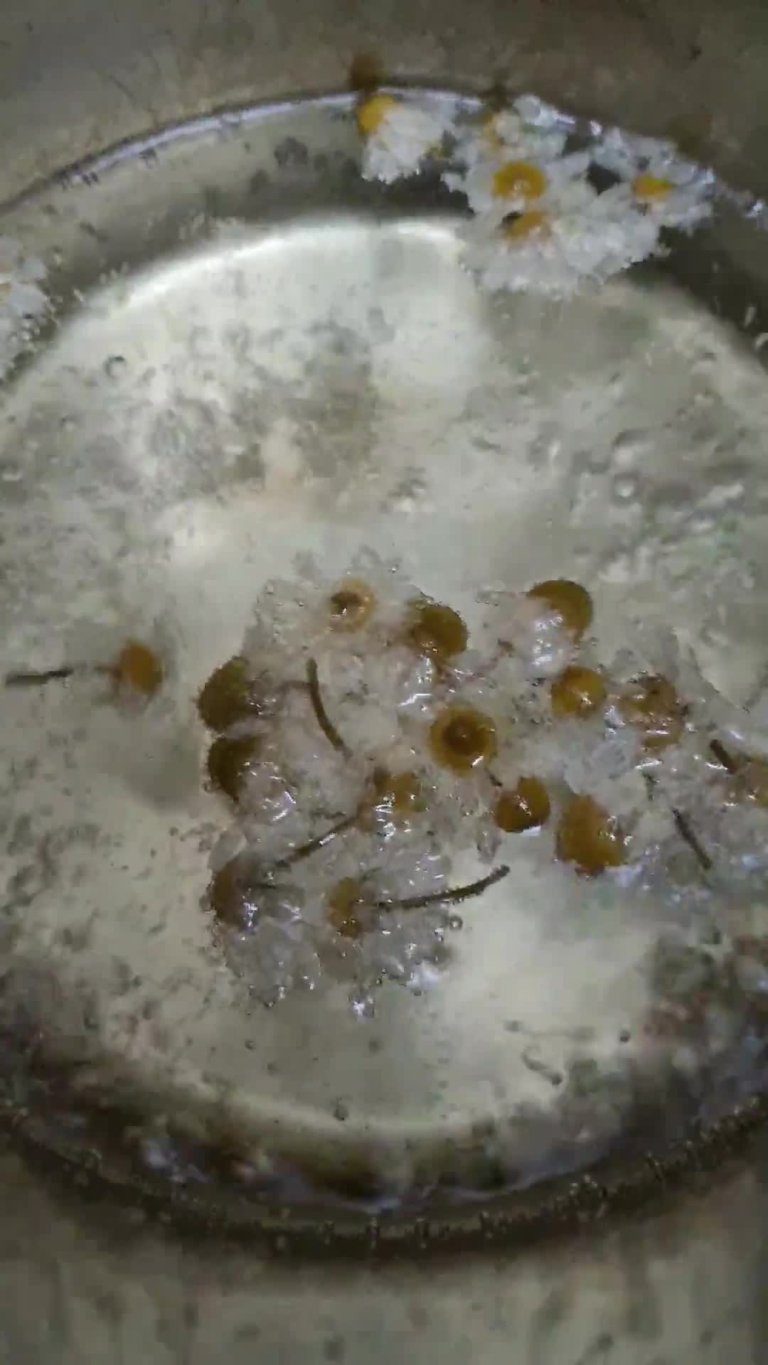 Foto del paso 2 de la receta: Infusión de manzanilla (camomila) con limón 🍋
