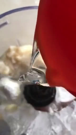Gambar langkah 2 resipi Jus Durian Belanda Bersama Limau Nipis.