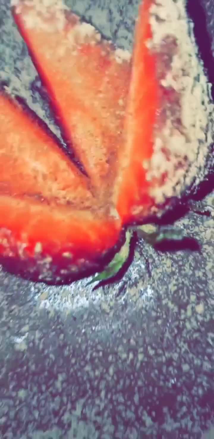 صورة لخطوة 4 من وصفة بان كيك - Pancakes 😋