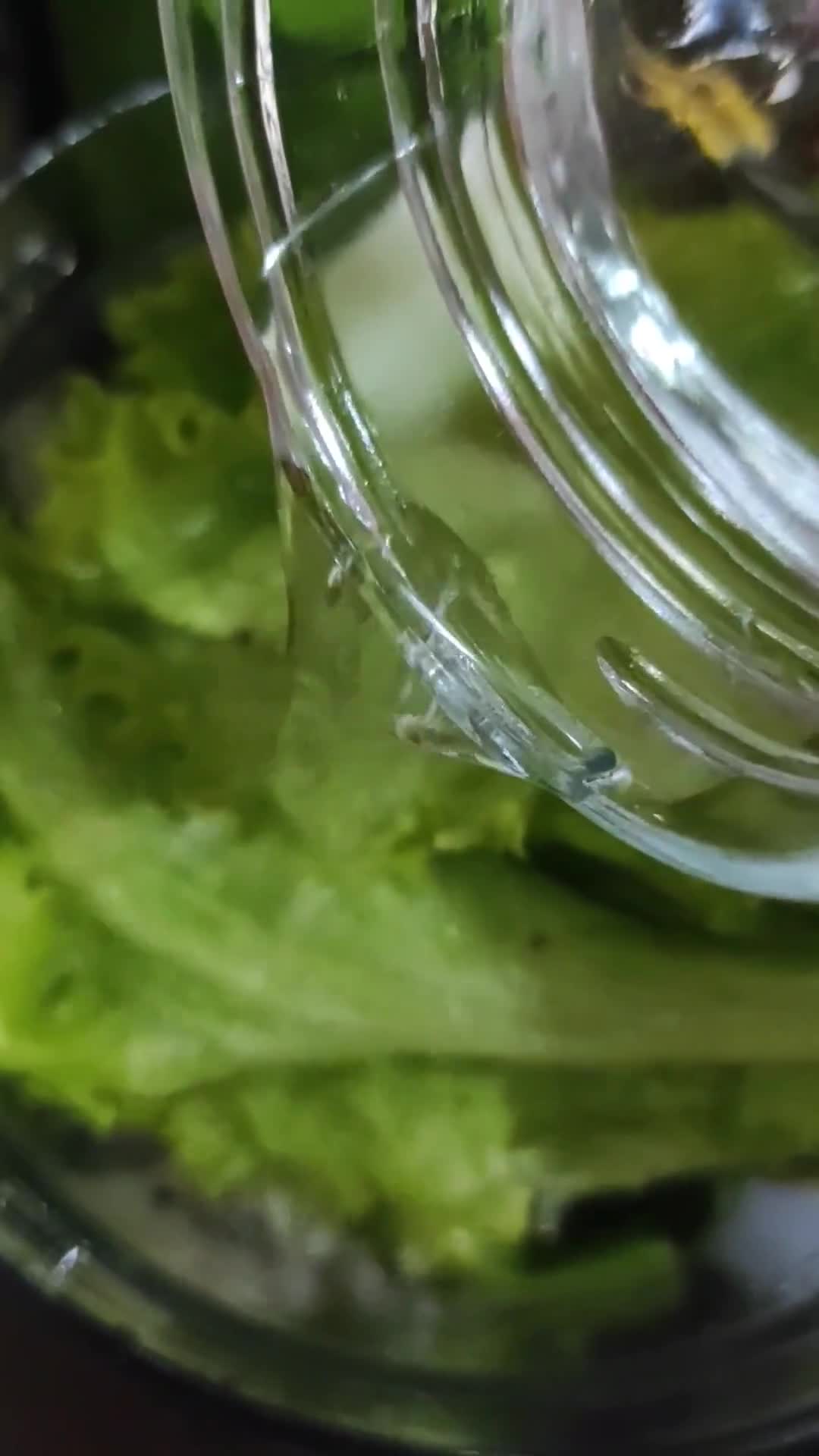 Foto langkah ke 4 dari resep Green Smoothie (Lettuce, Timun, Nanas).