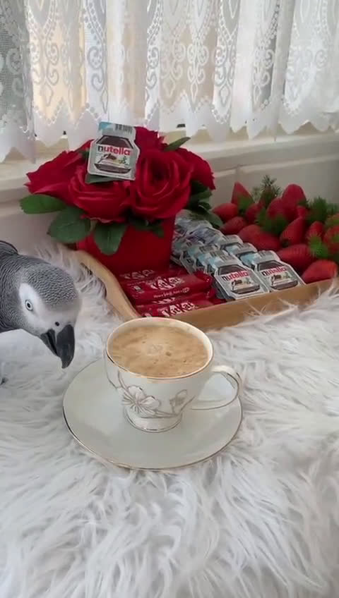 صورة لخطوة 8 من وصفة مشروب النسكافية مع الكاكاو❤