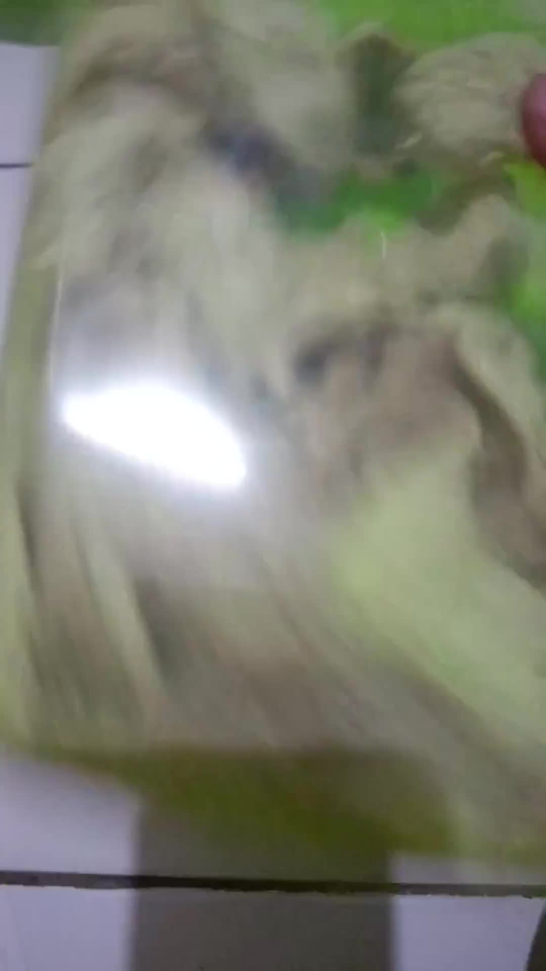 Foto langkah ke 4 dari resep Keripik Tahu Renyah(Rasa Keju).