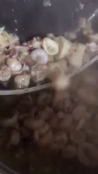 Foto del paso 7 de la receta: Pasta "radiatori" a la marinera, exprés