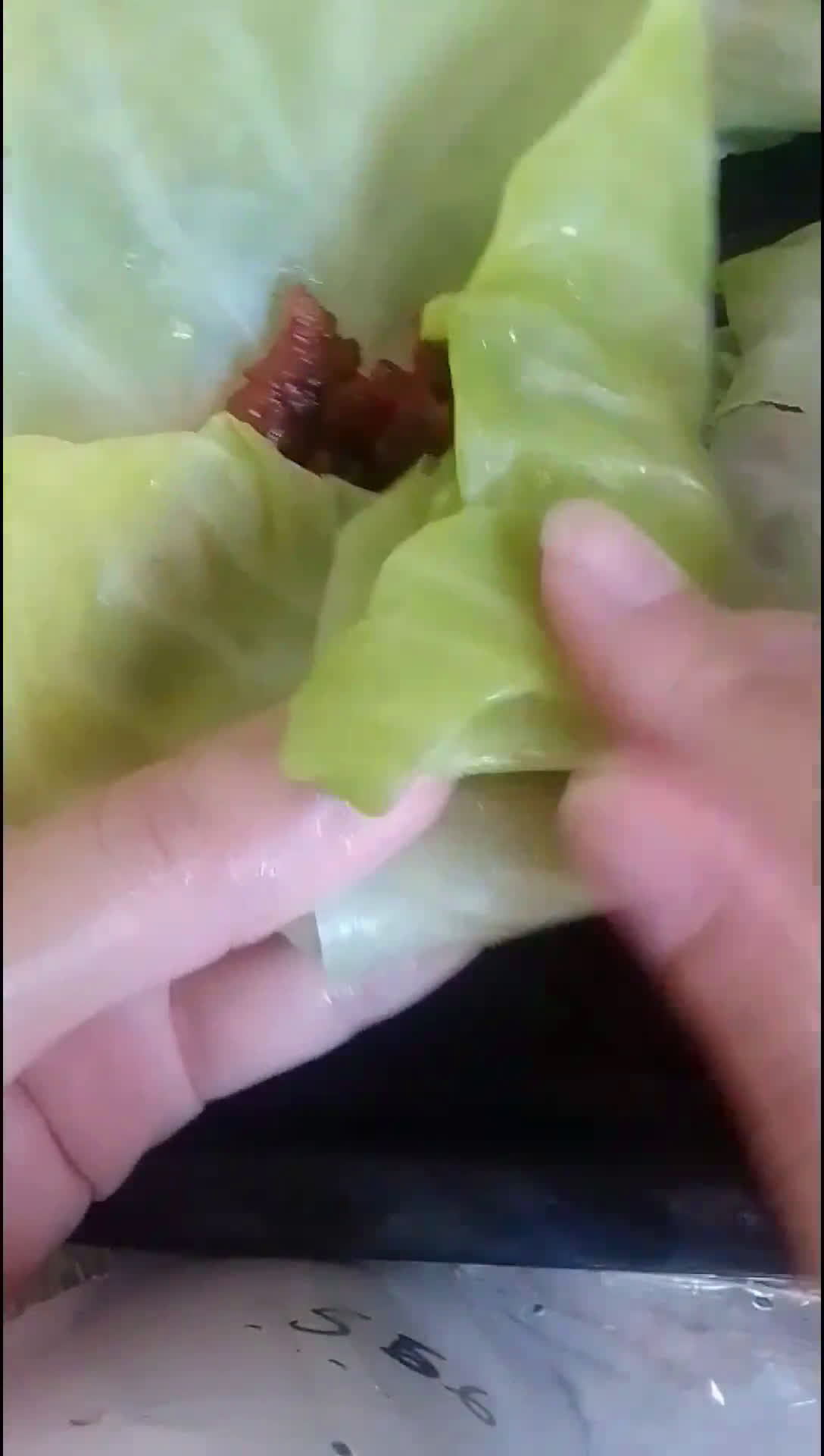 Foto del paso 4 de la receta: Almuercitos en salsa #1 (repollitos)