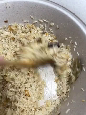 صورة لخطوة 4 من وصفة مندي لحمه