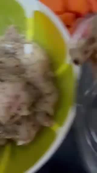 Gambar langkah 1 resipi Homemade sosej ayam.