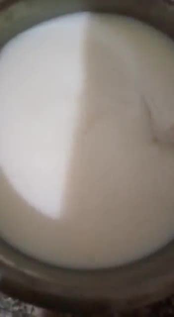 घर का जमा फ्रेश दही (Ghar ka jama fresh dahi recipe in Hindi) रेसिपी चरण 2 फोटो