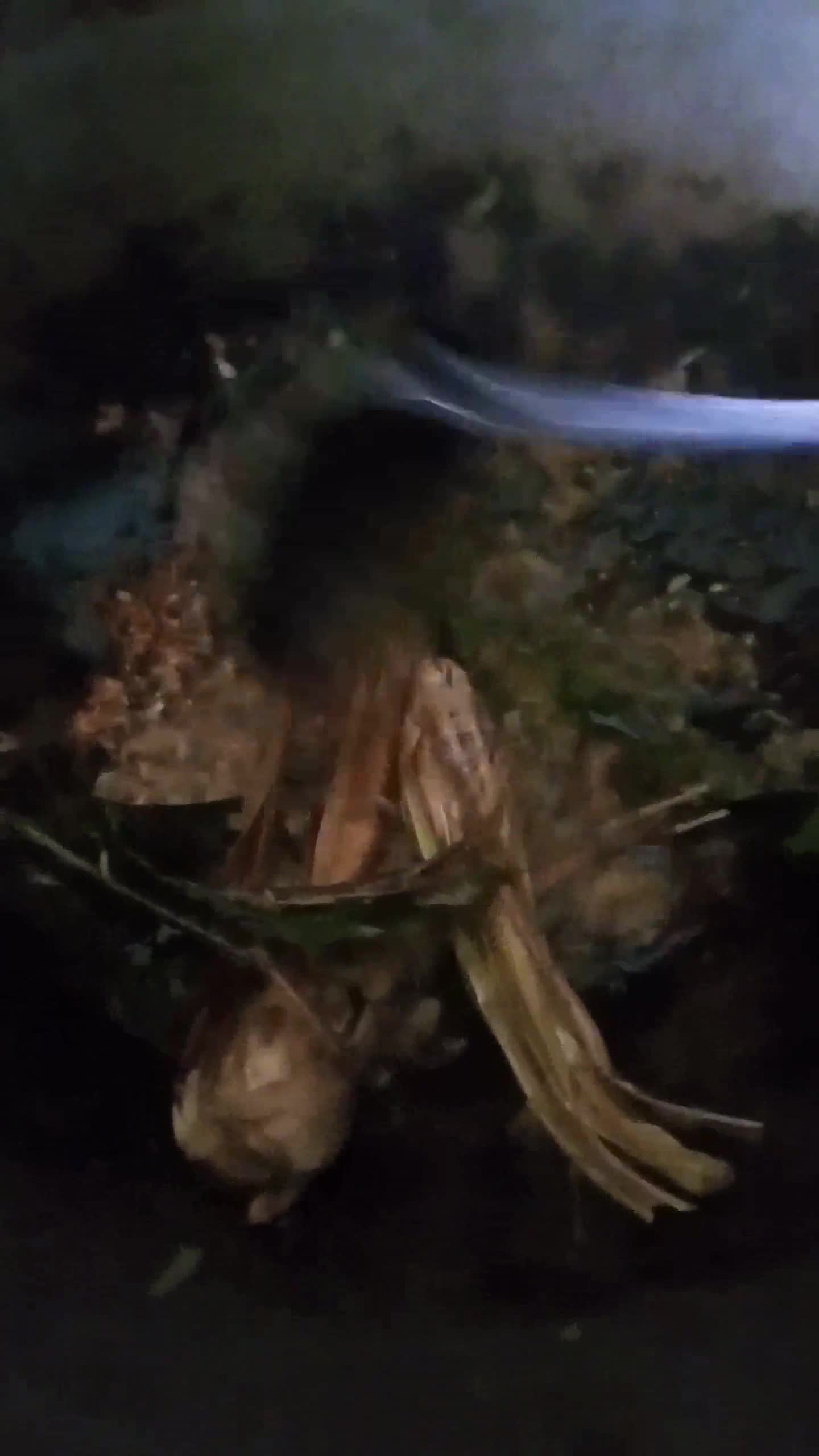 Foto langkah ke 3 dari resep Sop Tulang Sapi Ala Pak Min Klaten.