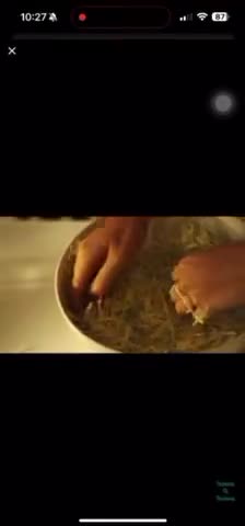 Foto del paso 3 de la receta: Receta de Chucrut con Sal del Himalaya