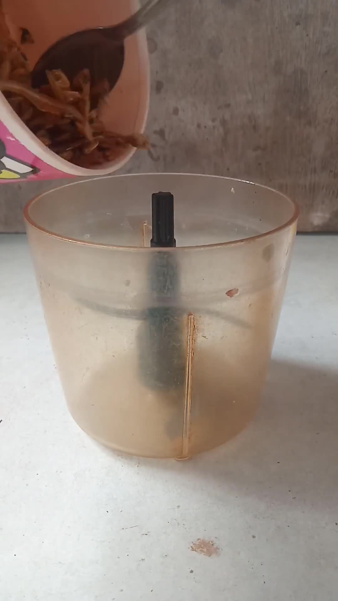 Foto langkah ke 2 dari resep Pempek Dos Teri.