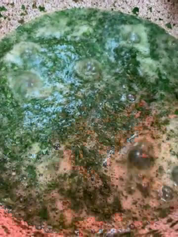 صورة لخطوة 4 من وصفة الملوخيه علي طريقتي