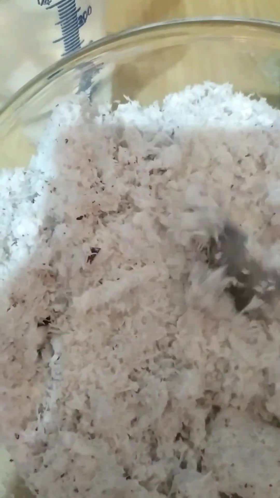 Foto langkah ke 2 dari resep Wingko Babat.