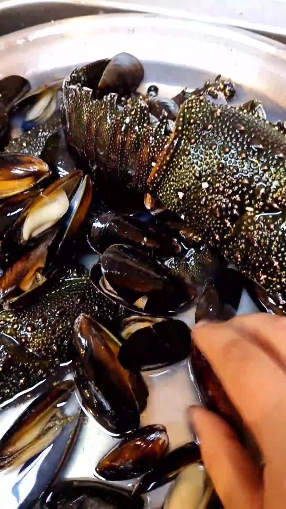 صورة لخطوة 5 من وصفة بحريات بالكيس