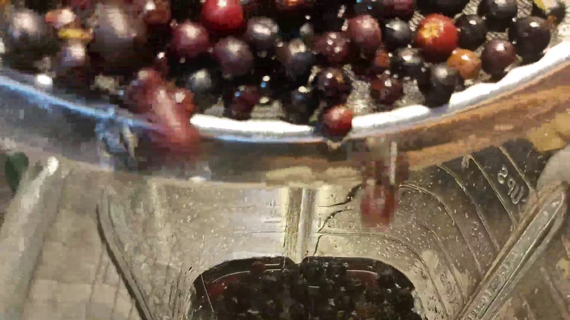 Foto del paso 1 de la receta: ✅El jugo de agraz y algunas propiedades