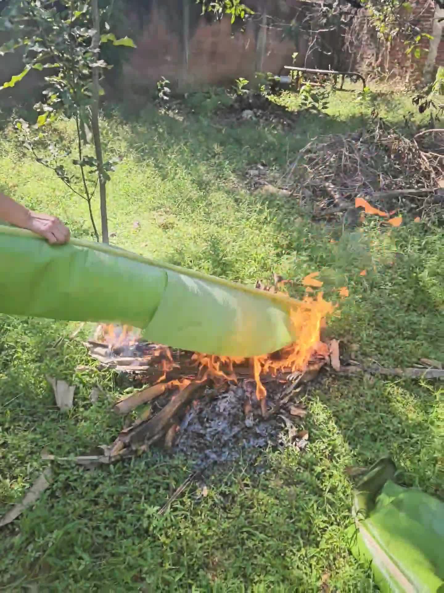 Foto del paso 8 de la receta: Tamales Oaxaqueños