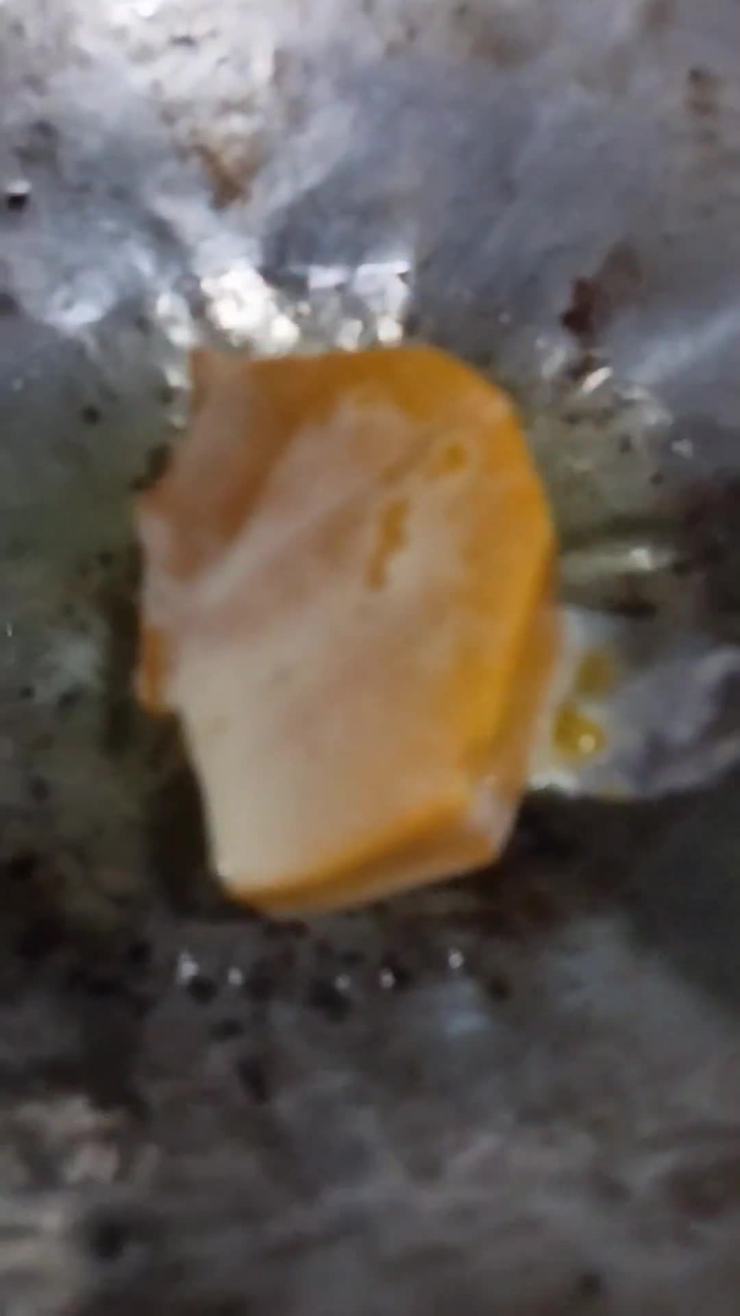 Foto langkah ke 6 dari resep Labu Parang Goreng Tepung.
