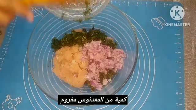 صورة لخطوة 11 من وصفة دولمة السلق (السبانخ) بالطماطم و الثوم