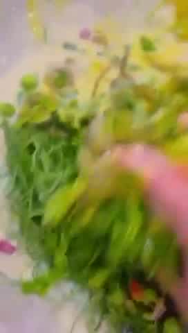 Foto langkah ke 1 dari resep Asam durian (gulek jruk khas aceh).