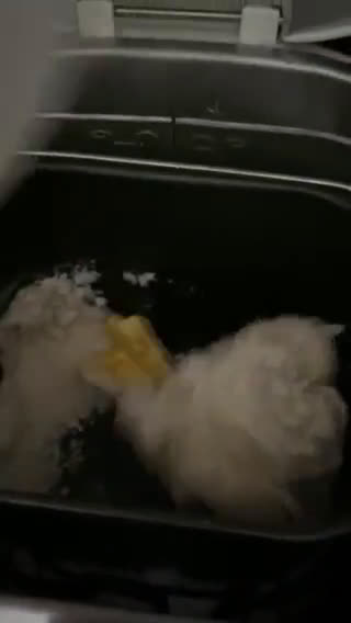 Foto langkah ke 1 dari resep Coffe Bun.