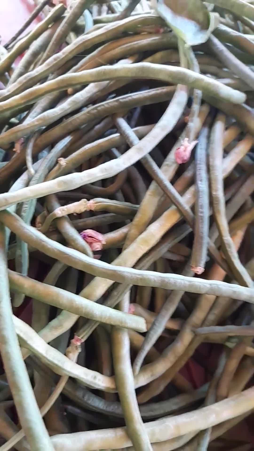 صورة لخطوة 1 من وصفة لوبية رفيعة بزيت