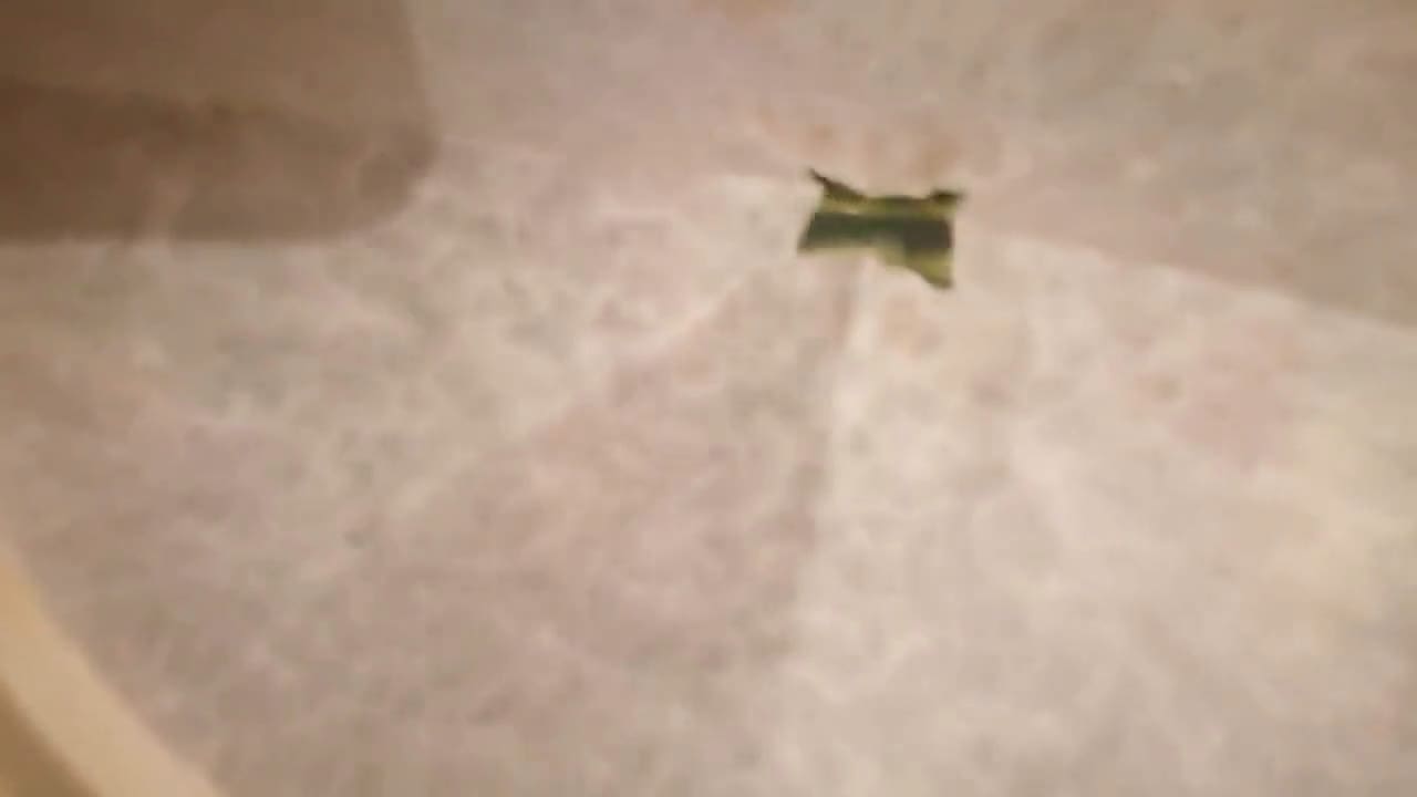 Une image de l'étape 4 de Courgettes farcies. Recette printanière à la djamicoo.