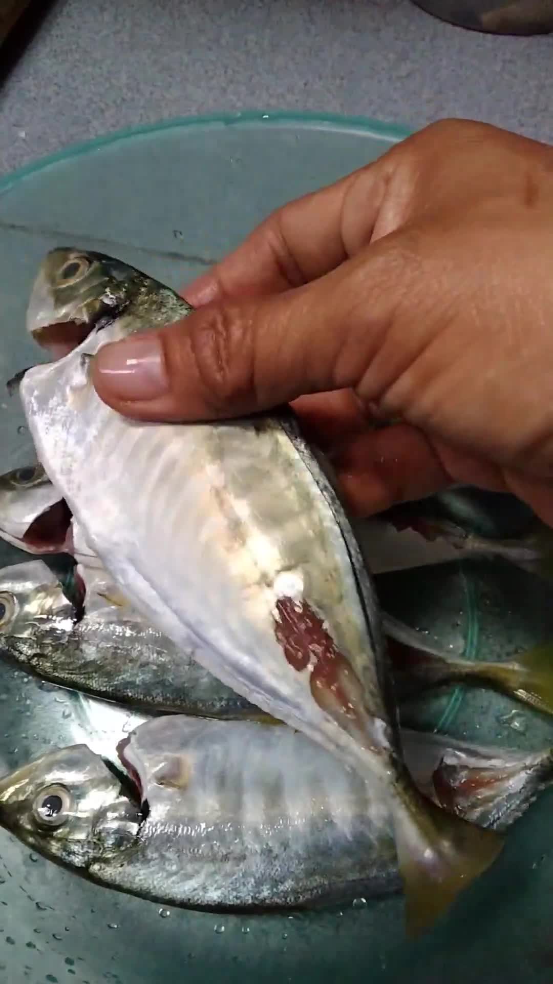 Gambar langkah 1 resipi Tips menyiang dan menghilangkan bau hanyir ikan.