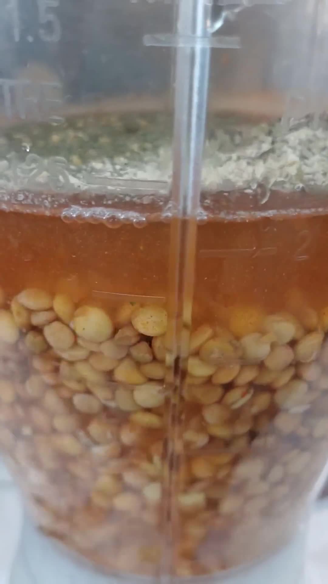 Foto del paso 3 de la receta: Tofu de lentejas sin soja