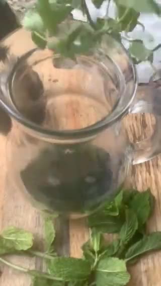Une image de l'étape 9 de 🍃Sirop 🫗menthe🌿recette facile🥄🌱🥄.