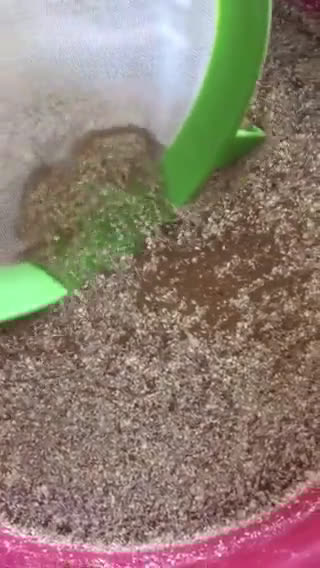 Foto del paso 5 de la receta: Segueza (mole de maíz) 🌽