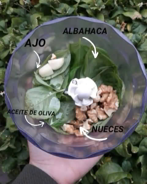 Foto del paso 1 de la receta: 🌱Crema de Pesto🌱
