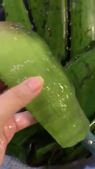 Hình bước làm 2 của món Chè Nha Đam Đường Phèn
