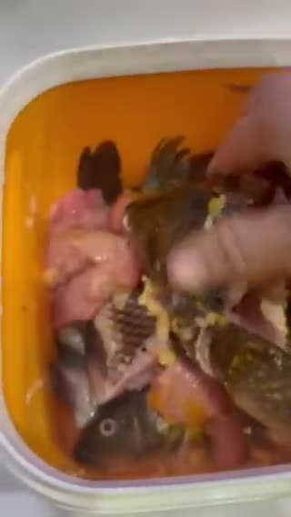 Foto langkah ke 1 dari resep Ikan Mas Goreng Marinasi.