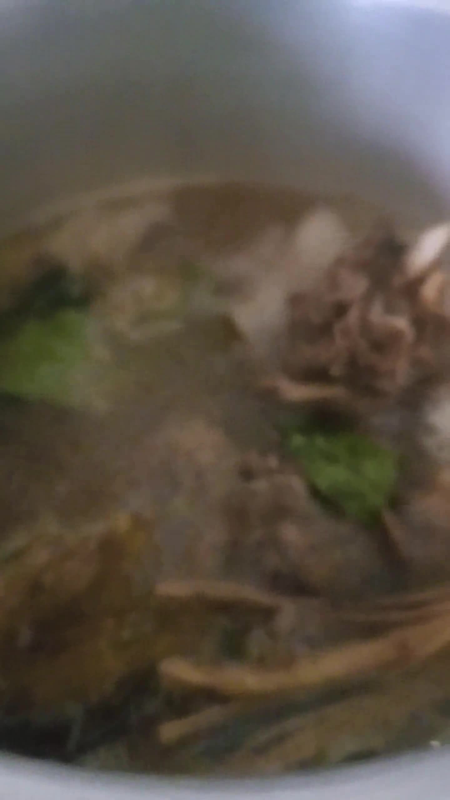 Foto langkah ke 3 dari resep Sop Tulang Sapi Ala Pak Min Klaten.