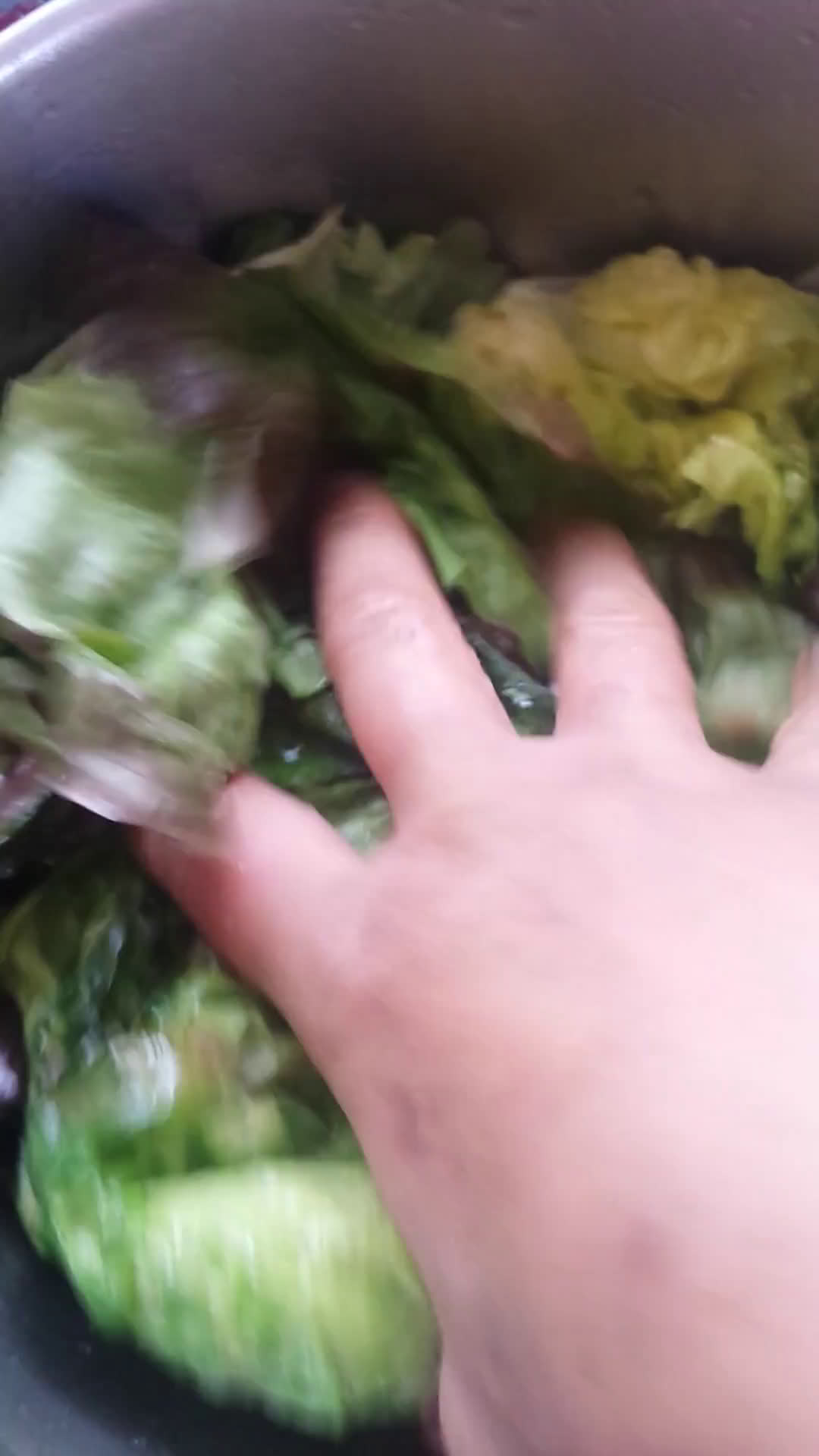 Vaddisznópörkölt nokedlival és döglesztett salátával 😊 recept fázis 5 fotója
