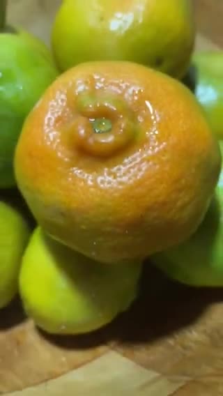 Foto del paso 1 de la receta: Jugo 🥤 de Mandarina de mi patio más fresco y natural imposible
