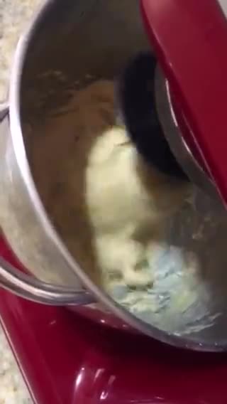 Foto del paso 5 de la receta: Pan dulce en batidora