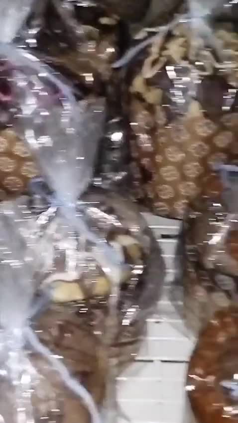 Foto del paso 8 de la receta: Pan dulce!!🧑‍🎄🧑‍🎄