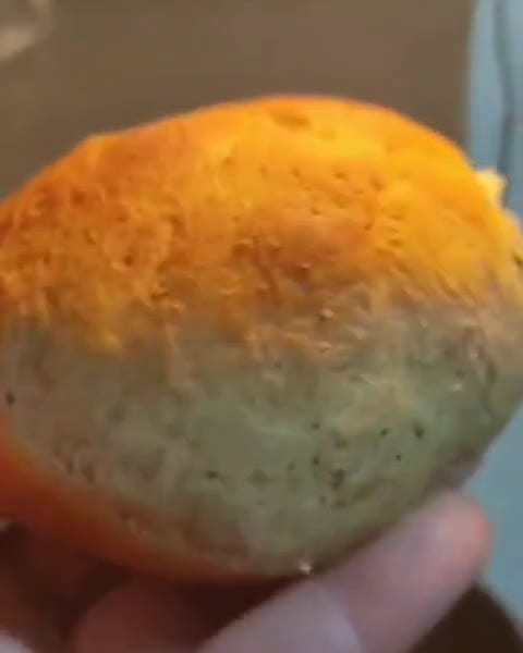 Foto del paso 6 de la receta: Choricitos al vino blanco (🌱) (vegano)