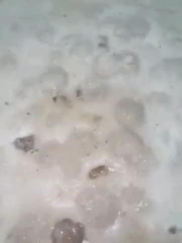 صورة لخطوة 8 من وصفة كرات اللحم السويديه(ميت بولز اكيا) "swedish meatball
