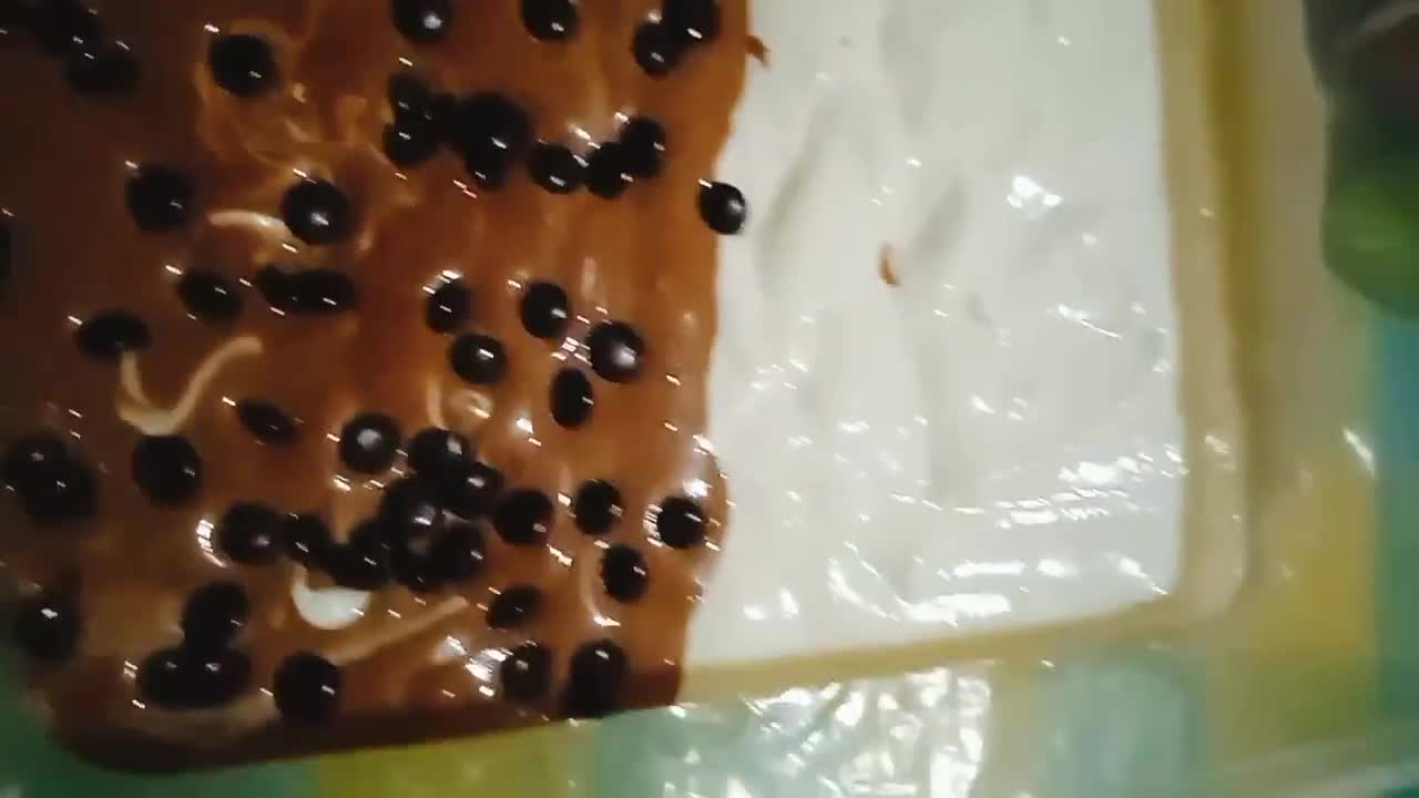 Foto langkah ke 4 dari resep Es cream.