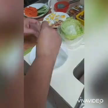 Foto langkah ke 3 dari resep Spring Roll (Lumpia Vietname).