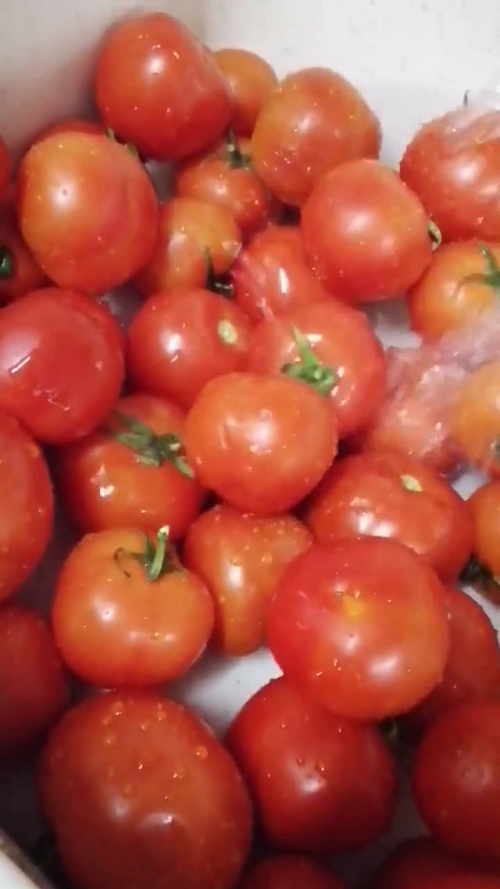 صورة لخطوة 1 من وصفة الطماطم المفرز ع طريقتي 🍅🍅
