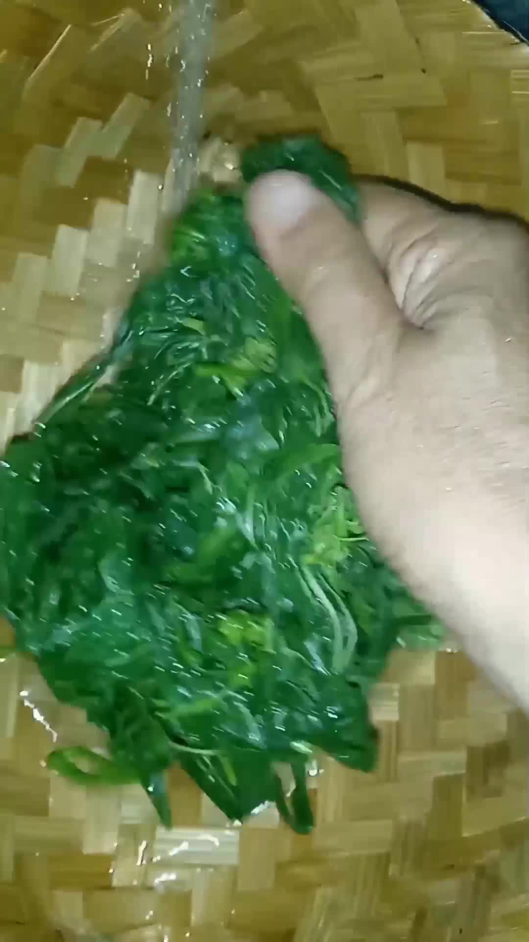Foto langkah ke 2 dari resep Tips : Mengolah Daun Singkong Tetap Hijau.