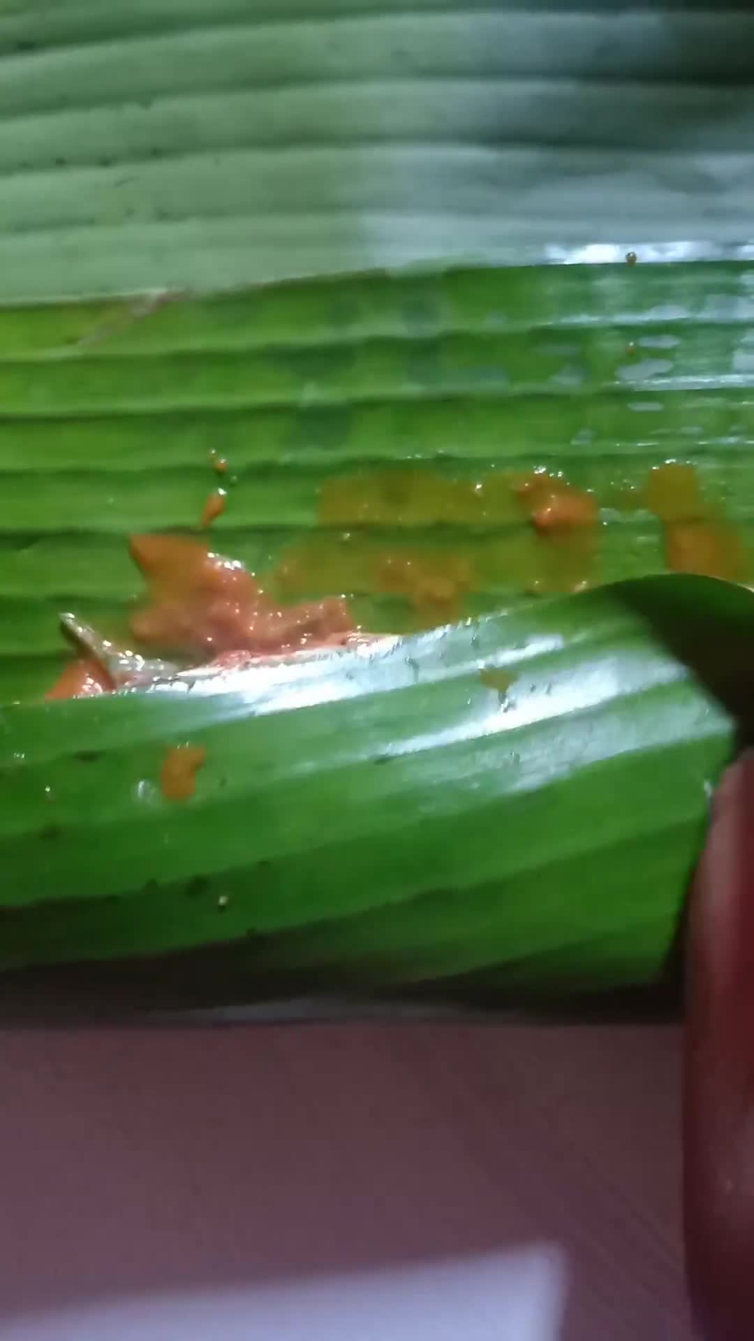 Foto langkah ke 5 dari resep Brengkesan / Pepes Ikan Lajang Kemangi Belimbing Wuluh.