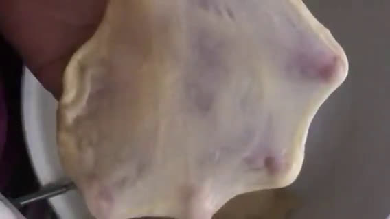 Foto langkah ke 2 dari resep Roti Unyil.