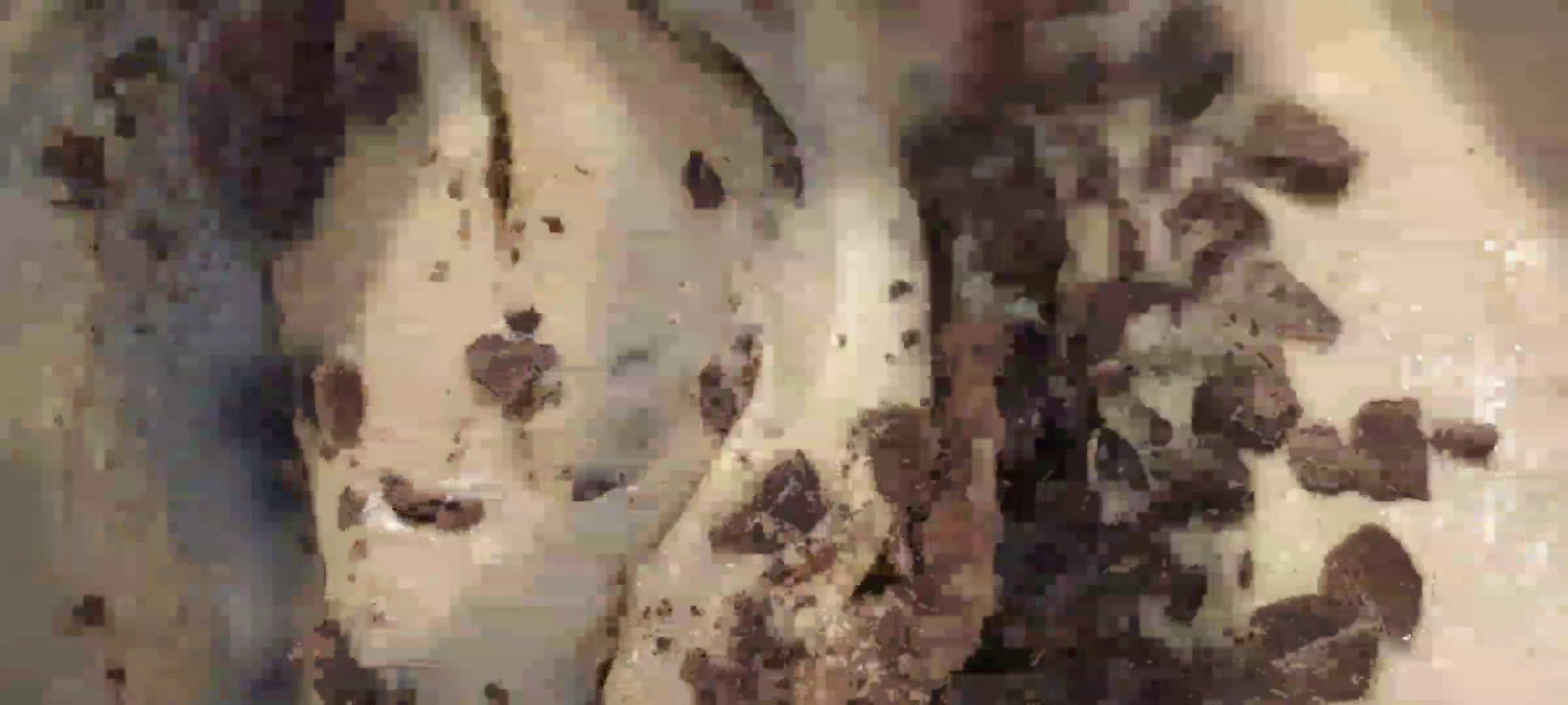 Une image de l'étape 5 de Muffins bananabread chocolat.
