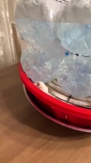 صورة لخطوة 4 من وصفة مكدوس البيتنجان