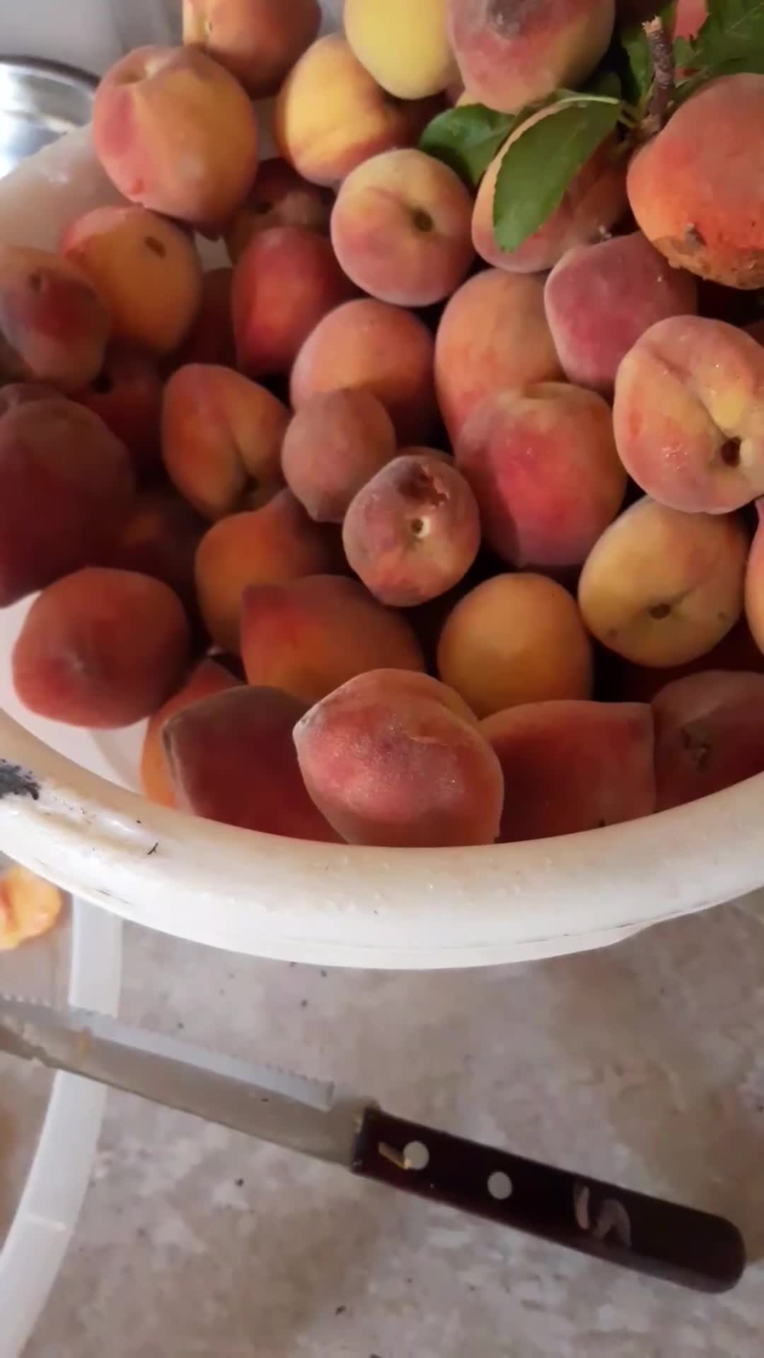 Foto del paso 1 de la receta: Mermelada de duraznos🍑