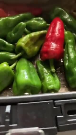 Foto del paso 2 de la receta: Pimientos de Padrón a las hierbas, en airfryer